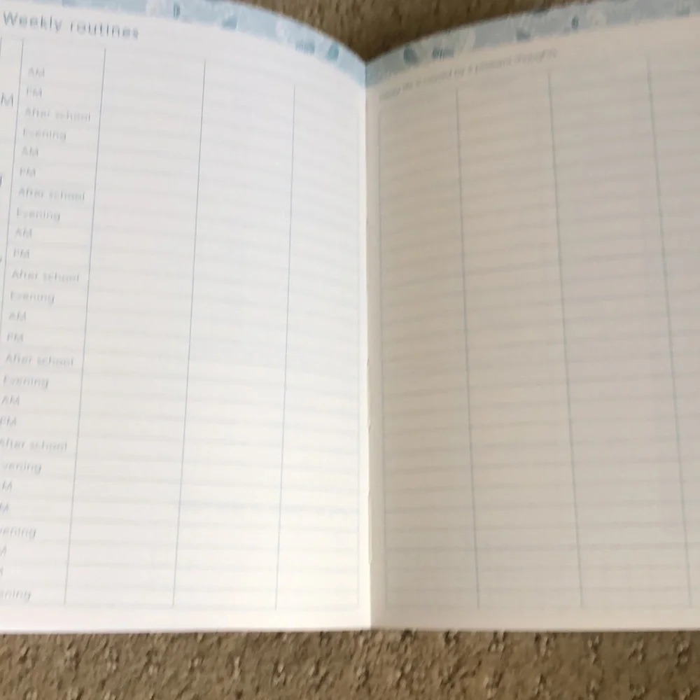 Life Book Planner and Daily Organizer